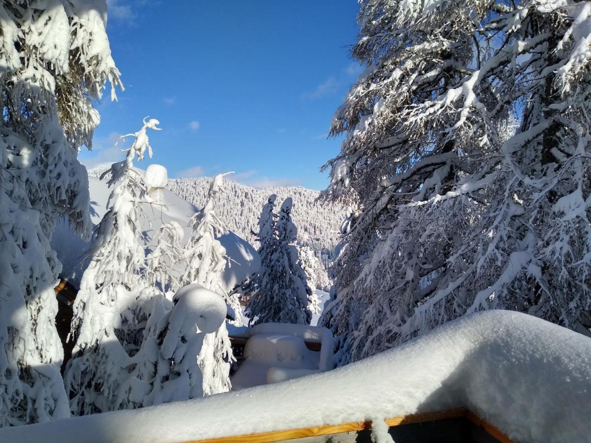 Alpenflair Appartment Mit Aussicht Zum Traeumen Turracher Hohe Exterior foto